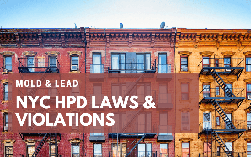 Row of old New York City apartment buildings with fire escapes, overlaid with text "MOLD & LEAD NYC HPD LAWS & VIOLATIONS".