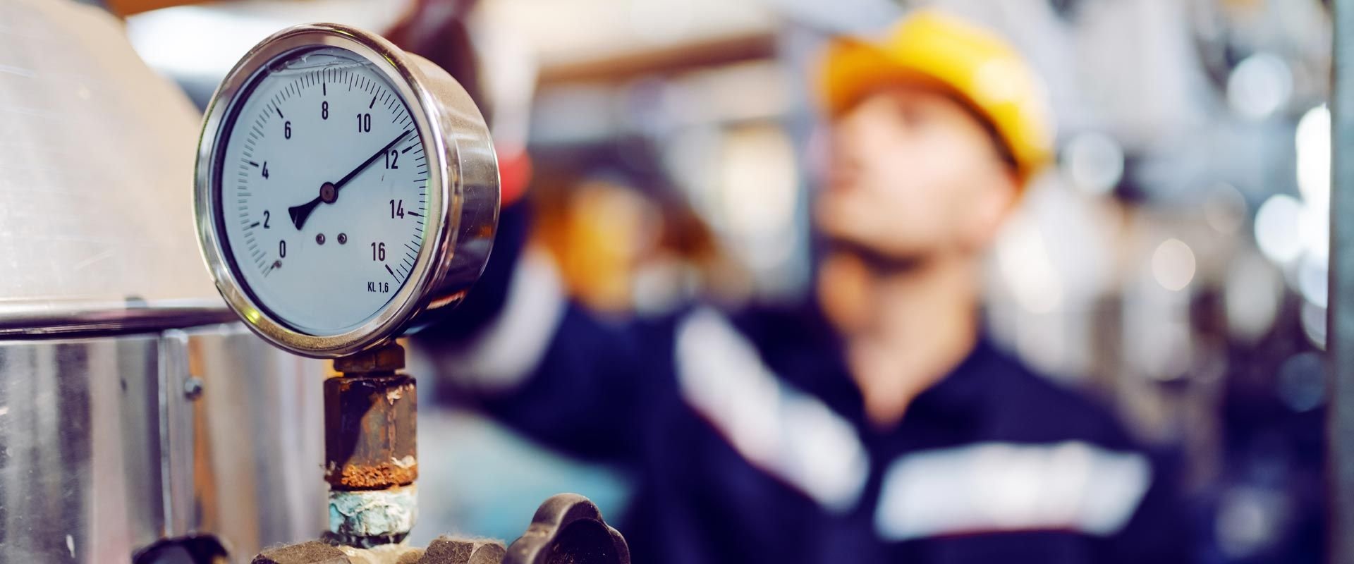 gas inspection